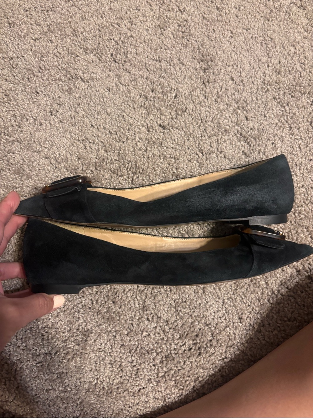 Sam Edelman Black Suede Pointed Toe Flats with Tortoiseshell Buckle - Picture 3 of 5